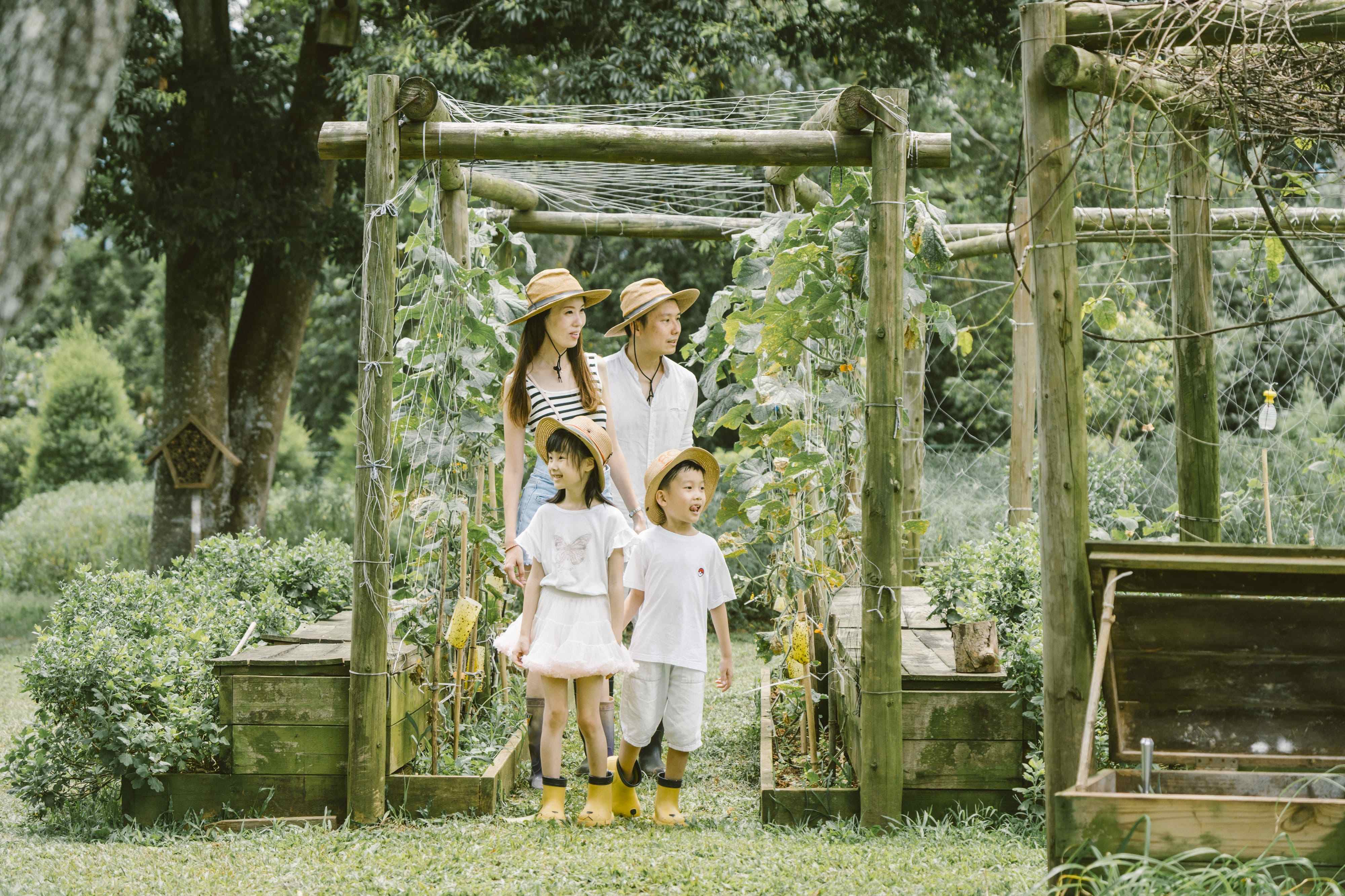 蚯蚓循環箱 栽培有機堆肥 