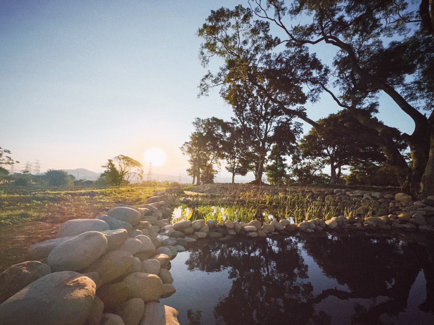 生態池涵養地下水 營造多元物種棲地